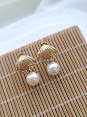 Mini Deniz Kabuğu Çelik İnci Küpe